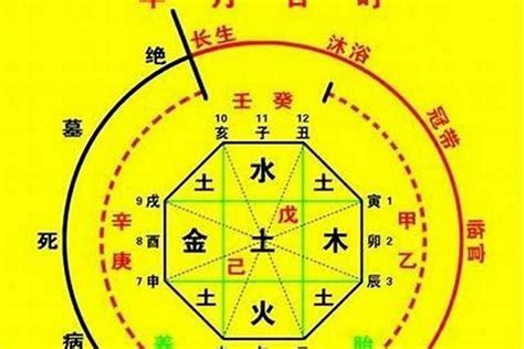 十神|八字算命基礎——十神詳解